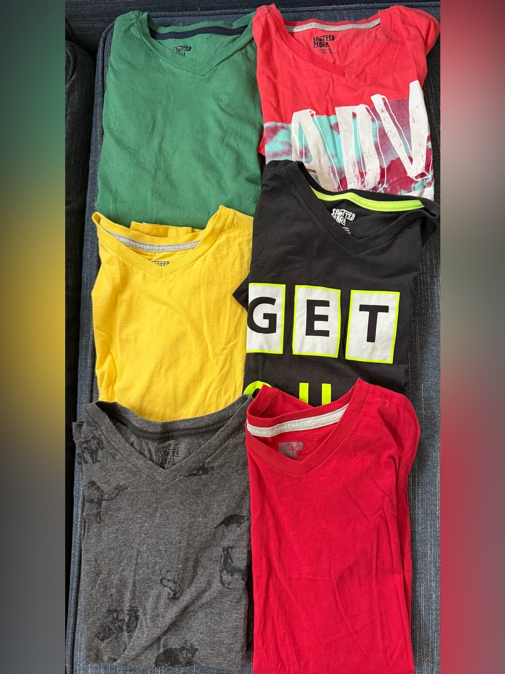 Lot of 100% cotton boys t-shirts graphic tees Spotted Zebra boys size large 10